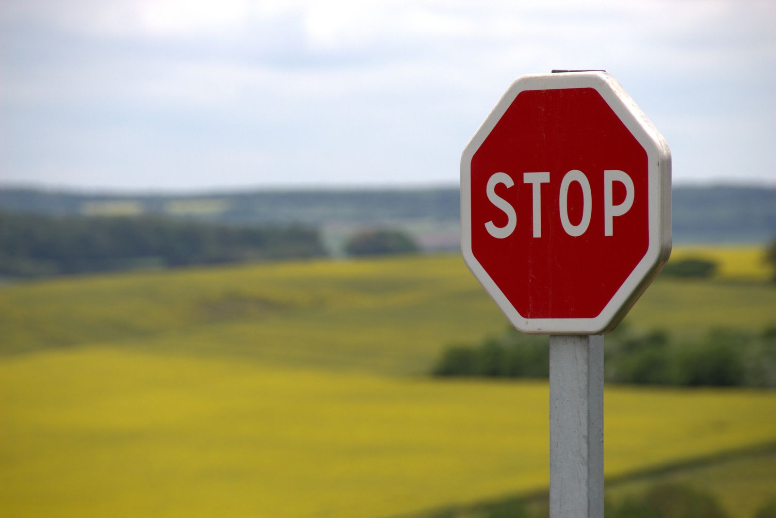 A red stop sign beside the road